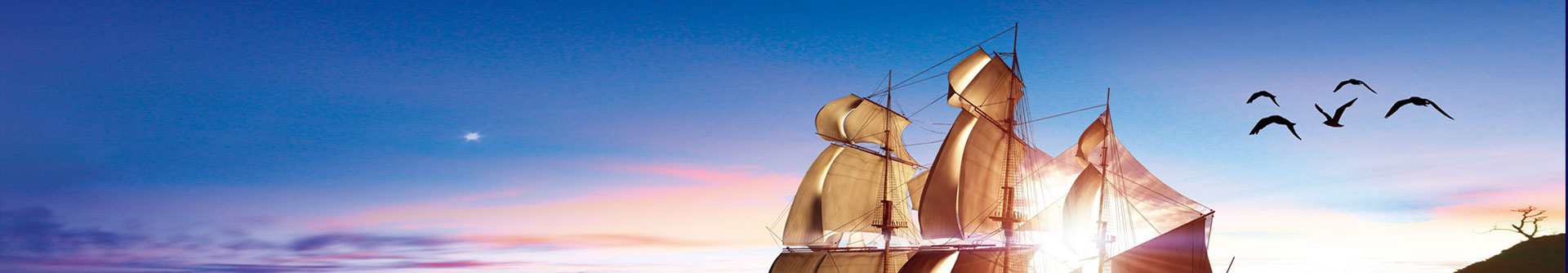 分享、互動(dòng)是我們與您溝通的方式